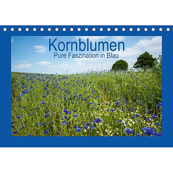 Kornblumen - Pure Faszination in Blau (Tischkalender 2018 DIN A5 quer) Dieser erfolgreiche Kalender wurde dieses Jahr mi, Andrea Potratz