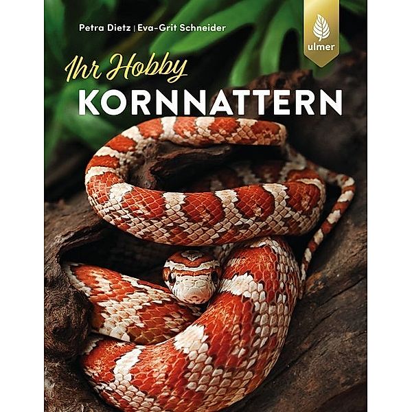 Kornnattern, Petra Dietz, Eva-Grit Schneider