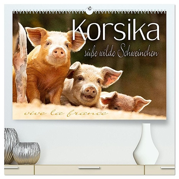 Korsika - süße, wilde Schweinchen (hochwertiger Premium Wandkalender 2024 DIN A2 quer), Kunstdruck in Hochglanz, Monika Schöb