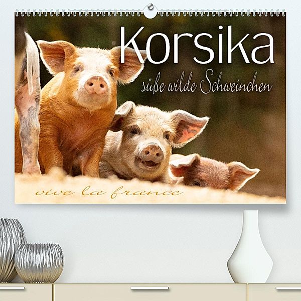 Korsika - süße, wilde Schweinchen (Premium, hochwertiger DIN A2 Wandkalender 2023, Kunstdruck in Hochglanz), Monika Schöb