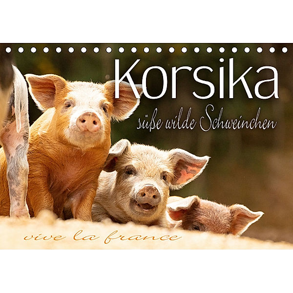 Korsika - süße, wilde Schweinchen (Tischkalender 2020 DIN A5 quer), Monika Schöb