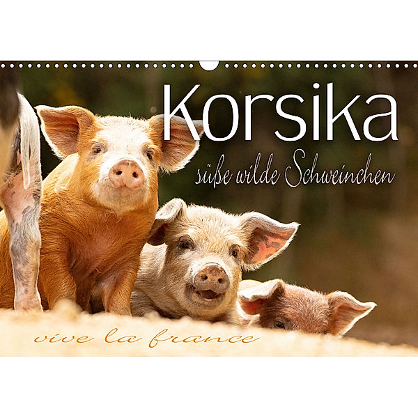 Korsika - süße, wilde Schweinchen (Wandkalender 2020 DIN A3 quer), Monika Schöb