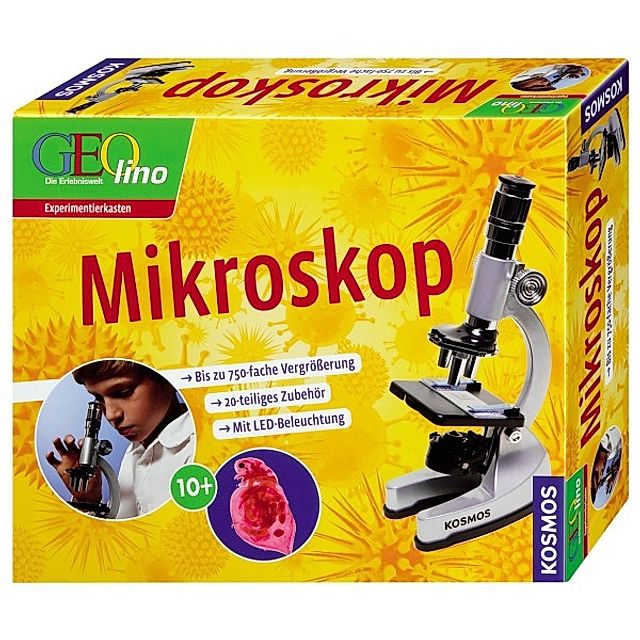 KOSMOS Geolino Mikroskop, Experimentierkasten | Weltbild.de