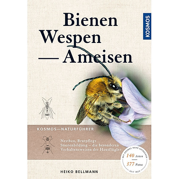 Kosmos-Naturführer / Bienen, Wespen, Ameisen, Heiko Bellmann