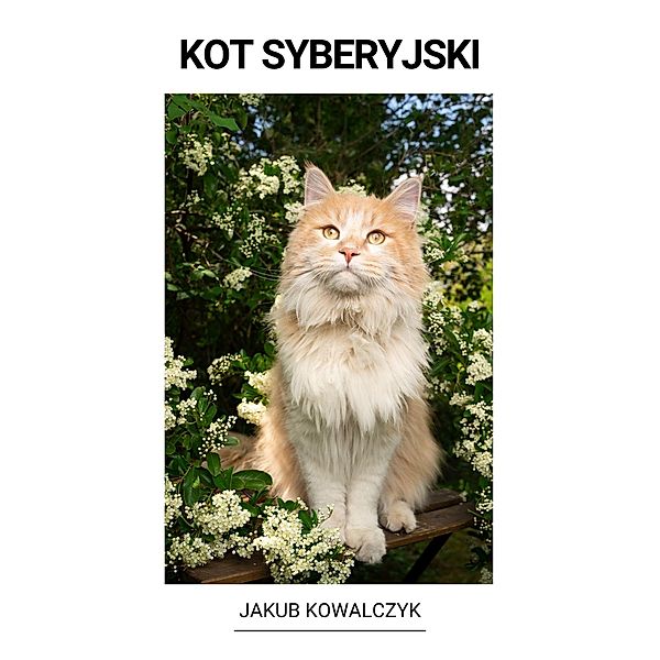 Kot Syberyjski, Jakub Kowalczyk