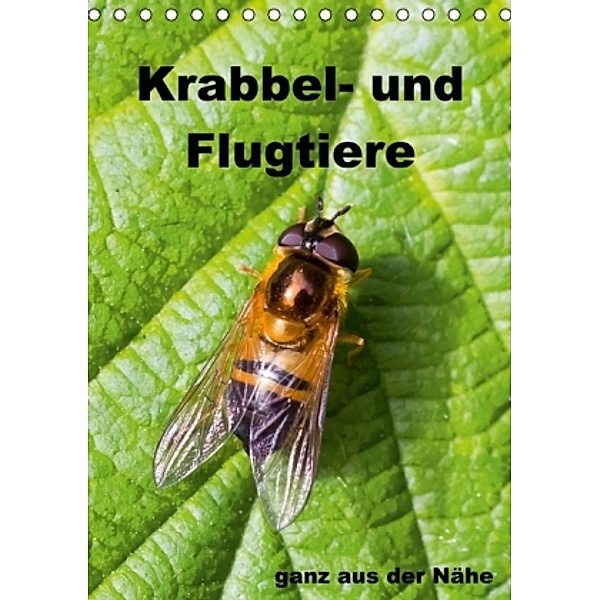 Krabbel- und Flugtiere / Planer (Tischkalender 2015 DIN A5 hoch), Gabriela Wernicke-Marfo