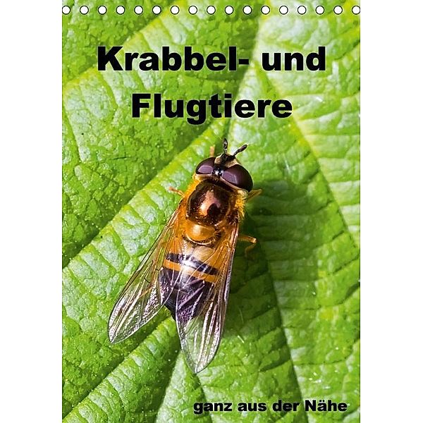 Krabbel- und Flugtiere / Planer (Tischkalender 2017 DIN A5 hoch), Gabriela Wernicke-Marfo