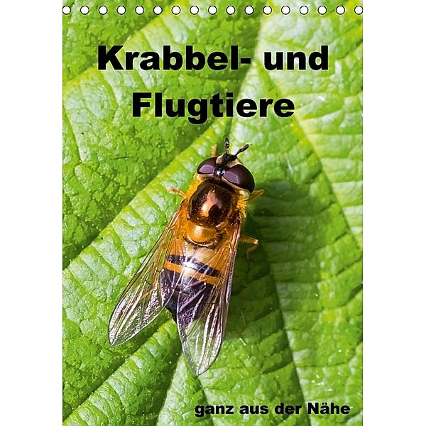 Krabbel- und Flugtiere / Planer (Tischkalender 2018 DIN A5 hoch), Gabriela Wernicke-Marfo