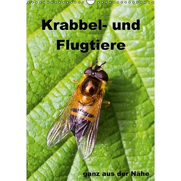 Krabbel- und Flugtiere / Planer (Wandkalender 2015 DIN A3 hoch), Gabriela Wernicke-Marfo