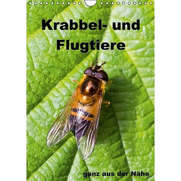 Krabbel- und Flugtiere / Planer (Wandkalender 2015 DIN A4 hoch), Gabriela Wernicke-Marfo