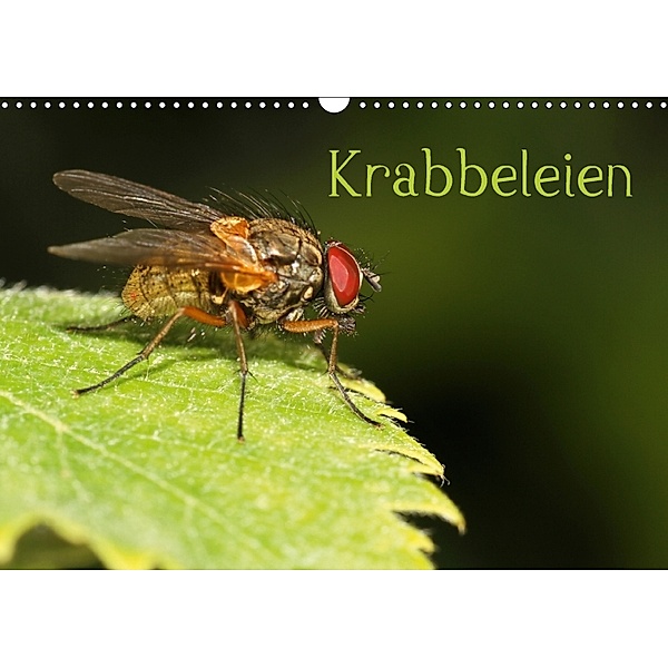 Krabbeleien (Wandkalender 2018 DIN A3 quer), Gerhard Albicker