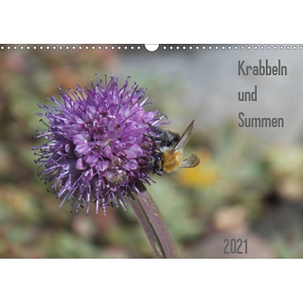 Krabbeln und Summen (Wandkalender 2021 DIN A3 quer), Verena Mahrhofer