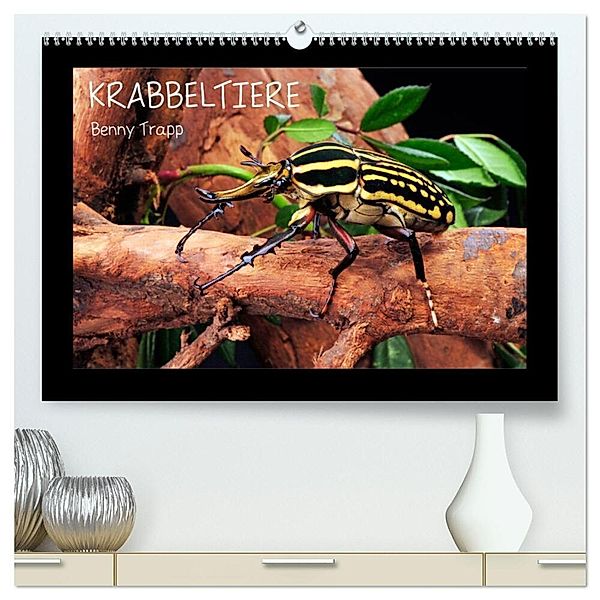 Krabbeltiere (hochwertiger Premium Wandkalender 2025 DIN A2 quer), Kunstdruck in Hochglanz, Calvendo, Benny Trapp