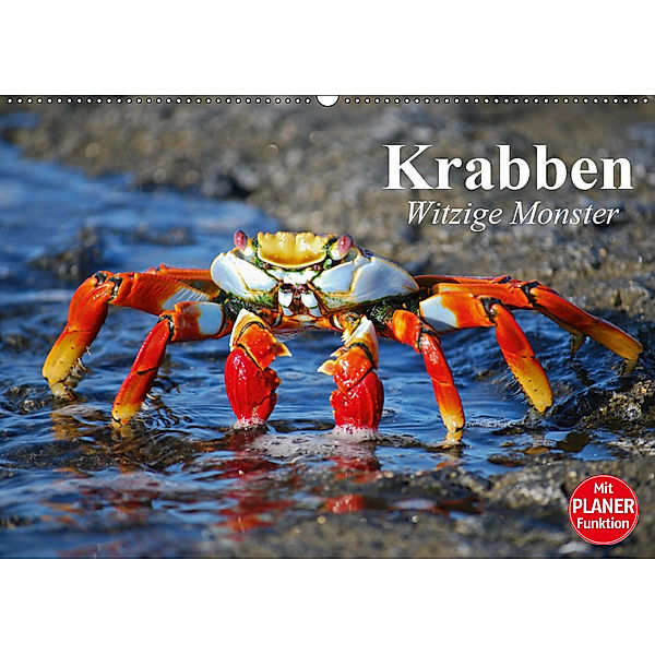 Krabben. Witzige Monster (Wandkalender 2019 DIN A2 quer), Elisabeth Stanzer