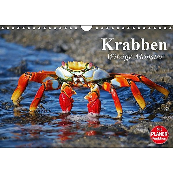 Krabben. Witzige Monster (Wandkalender 2021 DIN A4 quer), Elisabeth Stanzer