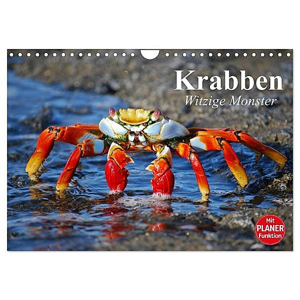 Krabben. Witzige Monster (Wandkalender 2024 DIN A4 quer), CALVENDO Monatskalender, Elisabeth Stanzer