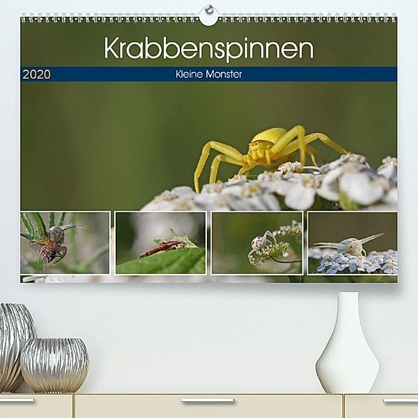 Krabbenspinnen - Kleine Monster (Premium-Kalender 2020 DIN A2 quer)