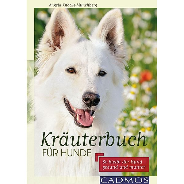 Kräuterbuch für Hunde / Ernährung und Gesundheit, Angela Knocks-Münchberg