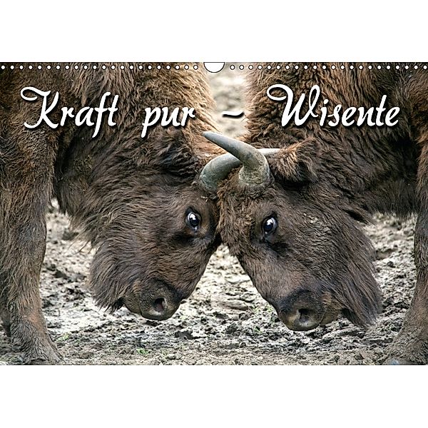 Kraft pur - Wisente (Wandkalender 2018 DIN A3 quer), Martina Berg