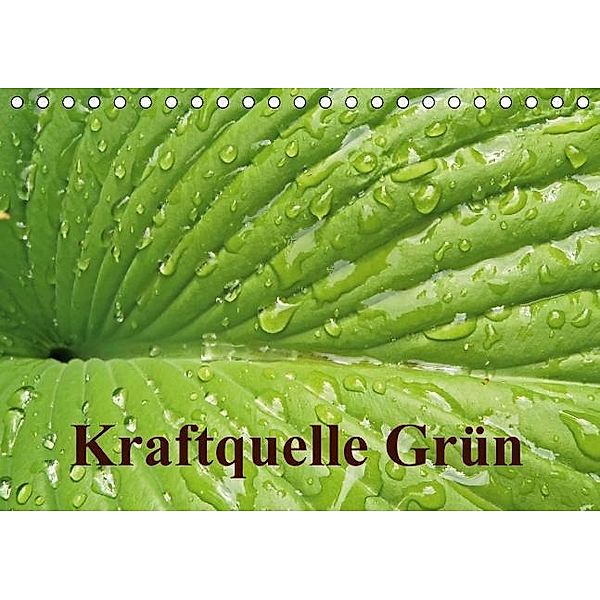 Kraftquelle Grün (Tischkalender 2017 DIN A5 quer), Ilona Andersen