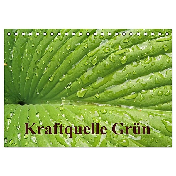 Kraftquelle Grün (Tischkalender 2024 DIN A5 quer), CALVENDO Monatskalender, Ilona Andersen