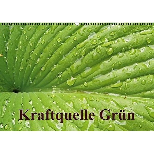 Kraftquelle Grün (Wandkalender 2017 DIN A2 quer), Ilona Andersen