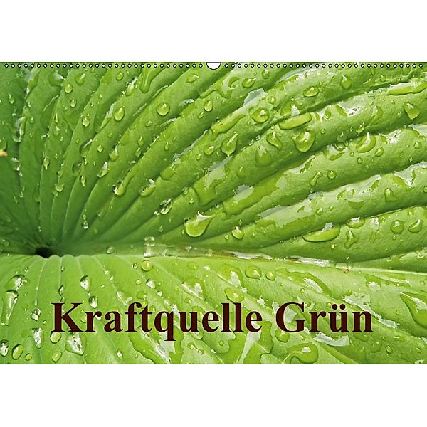 Kraftquelle Grün (Wandkalender 2018 DIN A2 quer), Ilona Andersen