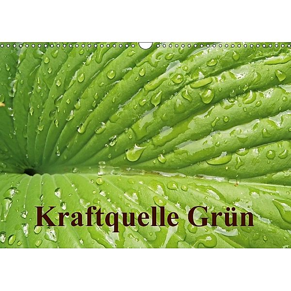 Kraftquelle Grün (Wandkalender 2018 DIN A3 quer), Ilona Andersen