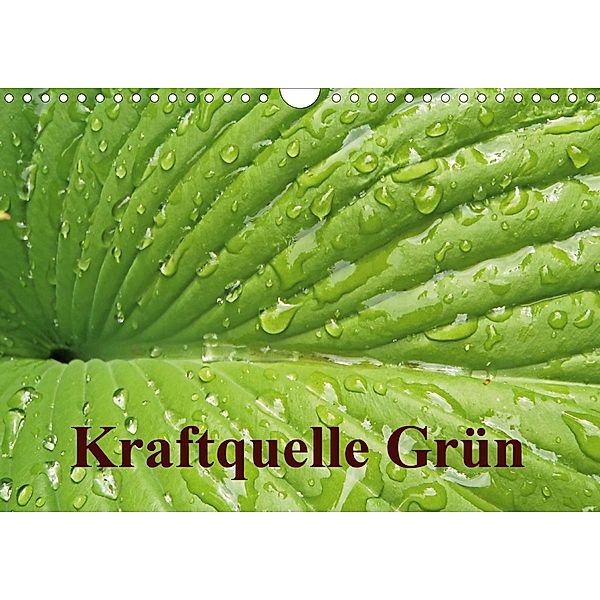 Kraftquelle Grün (Wandkalender 2021 DIN A4 quer), Ilona Andersen