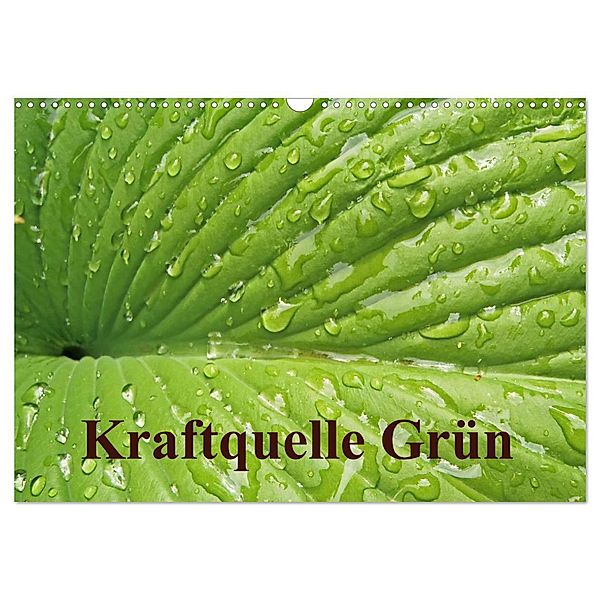 Kraftquelle Grün (Wandkalender 2024 DIN A3 quer), CALVENDO Monatskalender, Ilona Andersen