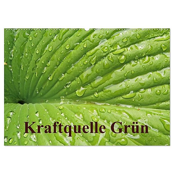 Kraftquelle Grün (Wandkalender 2025 DIN A2 quer), CALVENDO Monatskalender, Calvendo, Ilona Andersen