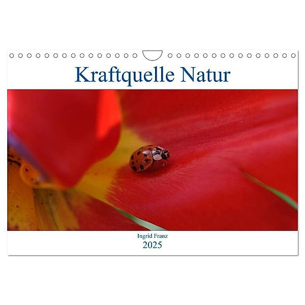 Kraftquelle Natur (Wandkalender 2025 DIN A4 quer), CALVENDO Monatskalender, Calvendo, Ingrid Franz