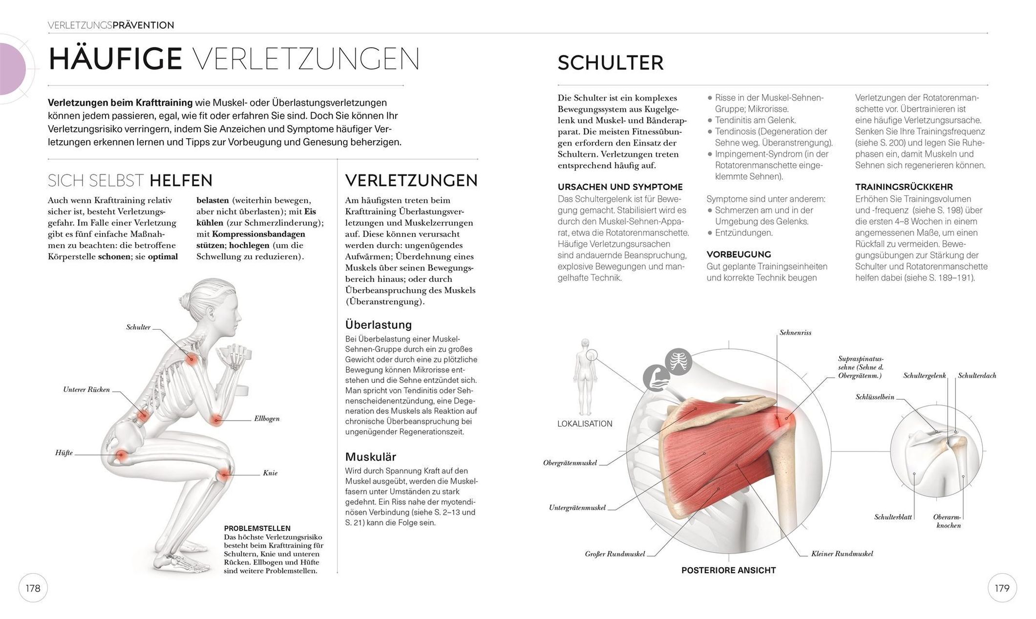 Krafttraining - Die Anatomie verstehen Buch versandkostenfrei - Weltbild.de