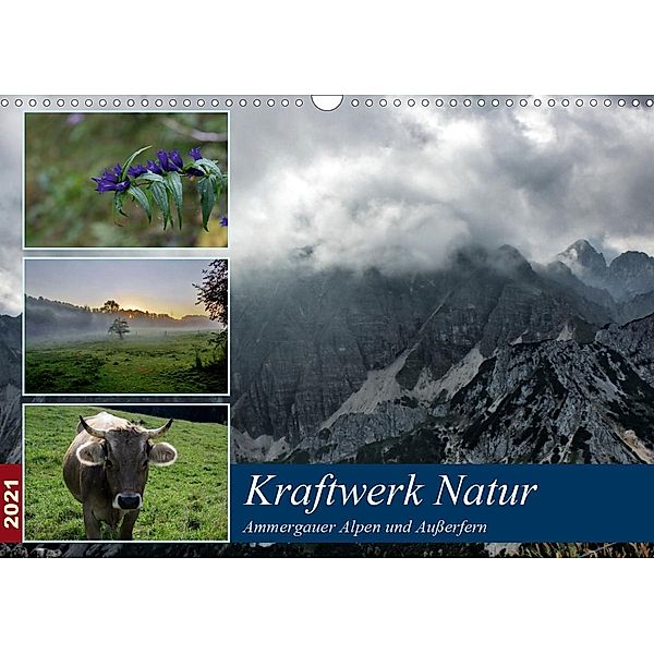 Kraftwerk Natur (Wandkalender 2021 DIN A3 quer), Steffen Wittmann