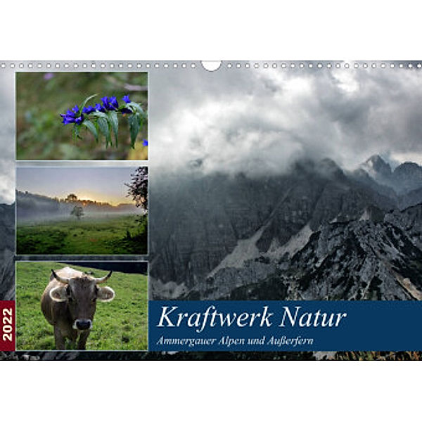 Kraftwerk Natur (Wandkalender 2022 DIN A3 quer), Steffen Wittmann