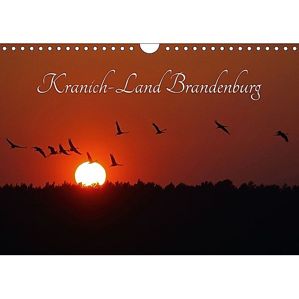 Kranich-Land Brandenburg (Wandkalender 2018 DIN A4 quer), Klaus Konieczka