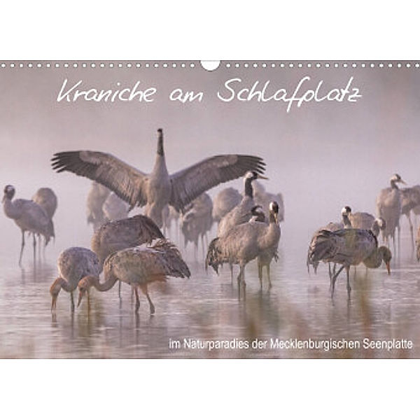 Kraniche am Schlafplatz - im Naturparadies der Mecklenburgischen Seenplatte (Wandkalender 2022 DIN A3 quer), André Pretzel - FotoPretzel