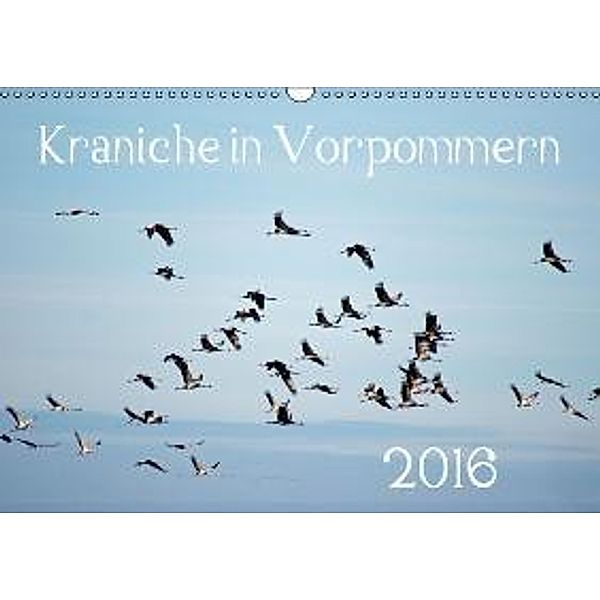 Kraniche in Vorpommern (Wandkalender 2016 DIN A3 quer), Siegfried Reinhold