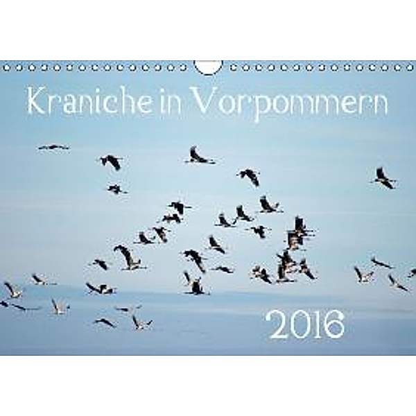 Kraniche in Vorpommern (Wandkalender 2016 DIN A4 quer), Siegfried Reinhold