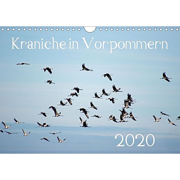 Kraniche in Vorpommern (Wandkalender 2020 DIN A4 quer), Siegfried Reinhold