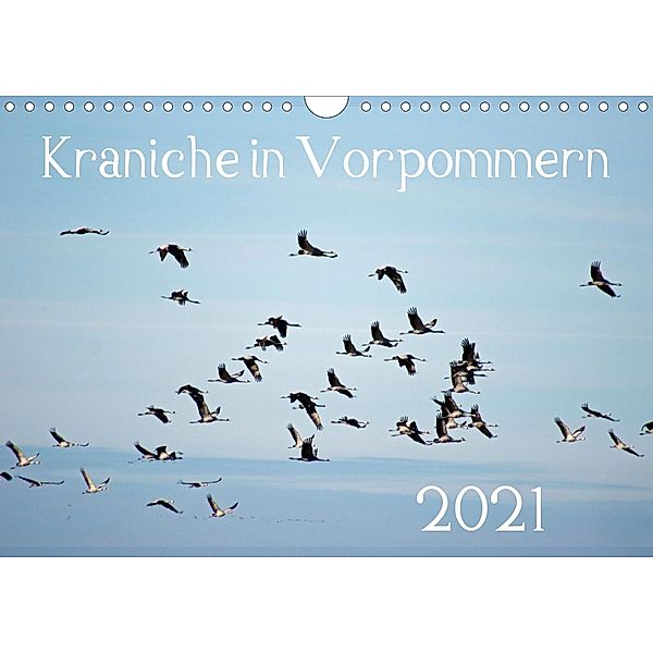 Kraniche in Vorpommern (Wandkalender 2021 DIN A4 quer), Siegfried Reinhold