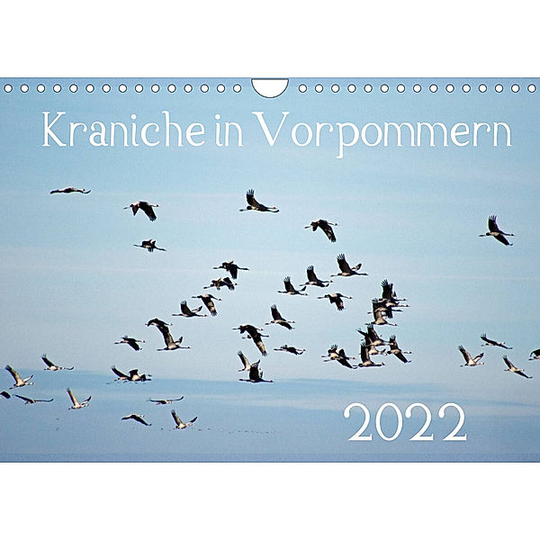 Kraniche in Vorpommern (Wandkalender 2022 DIN A4 quer), Siegfried Reinhold