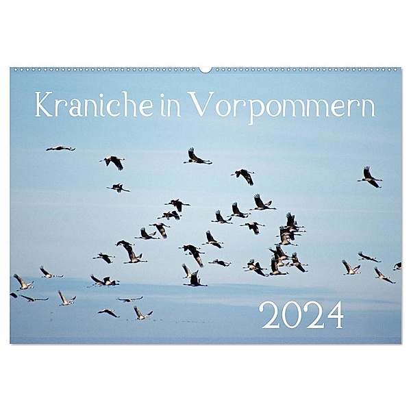 Kraniche in Vorpommern (Wandkalender 2024 DIN A2 quer), CALVENDO Monatskalender, Siegfried Reinhold