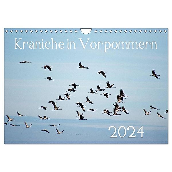 Kraniche in Vorpommern (Wandkalender 2024 DIN A4 quer), CALVENDO Monatskalender, Siegfried Reinhold