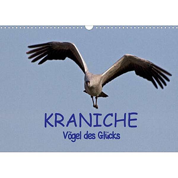 Kraniche - Vögel des Glücks (Wandkalender 2022 DIN A3 quer), Ralf Weise