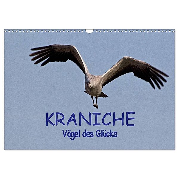 Kraniche - Vögel des Glücks (Wandkalender 2024 DIN A3 quer), CALVENDO Monatskalender, Ralf Weise