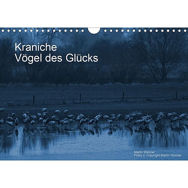 Kraniche (Wandkalender 2020 DIN A4 quer), Martin Wenner