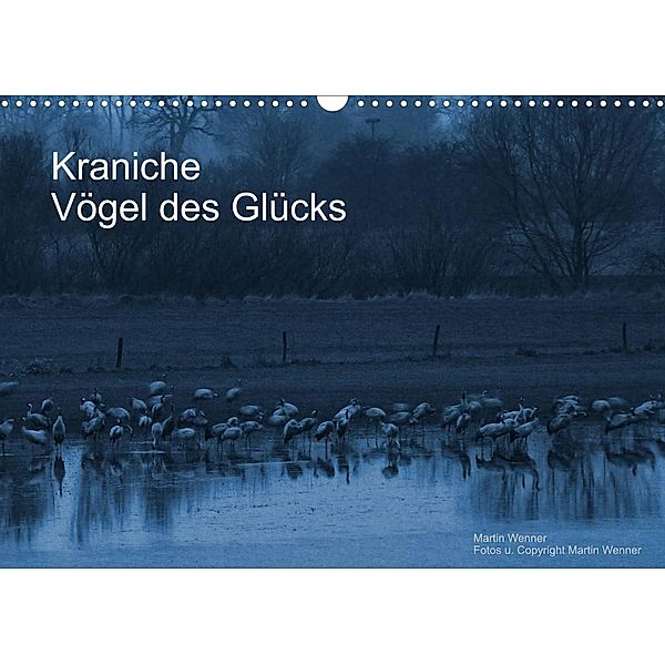 Kraniche (Wandkalender 2023 DIN A3 quer), Martin Wenner