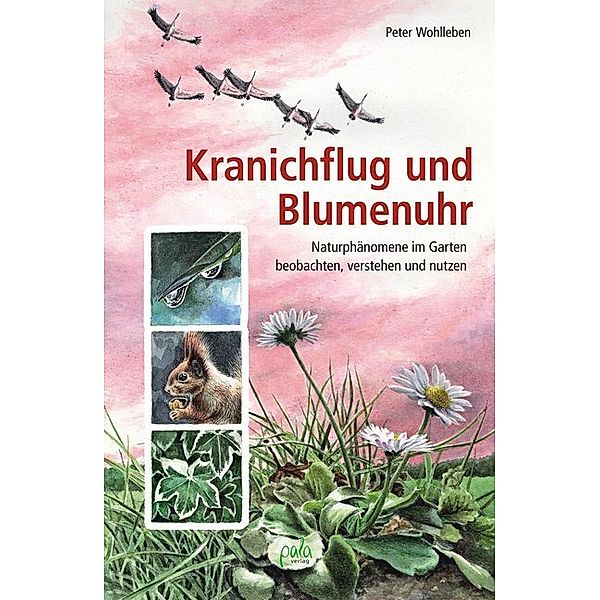 Kranichflug und Blumenuhr, Peter Wohlleben