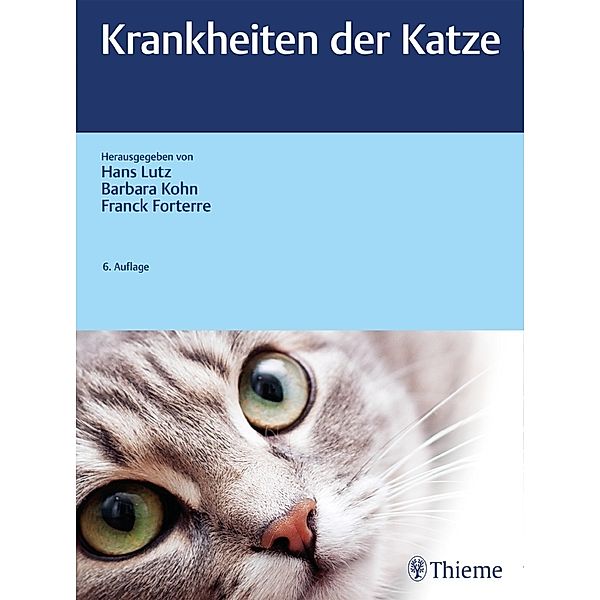 Krankheiten der Katze